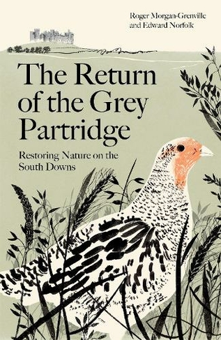 The Return of the Grey Partridge: Restoring Nature on the South Downs (Main)
