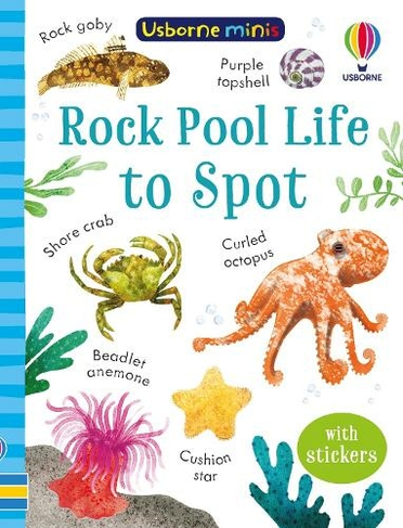 Rock Pool Life to Spot: (Usborne Minis)