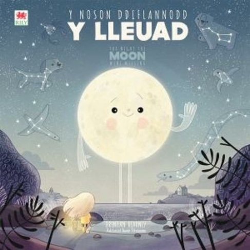 Noson Ddiflannodd y Lleuad, Y / Night the Moon Went Missing, The: (Bilingual edition)