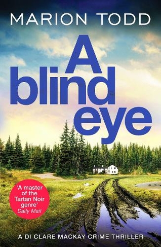 A Blind Eye: A twisty and gripping detective thriller (Detective Clare Mackay)