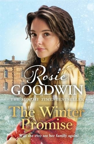 The Winter Promise: A perfect cosy Victorian saga from the Sunday Times bestselling author