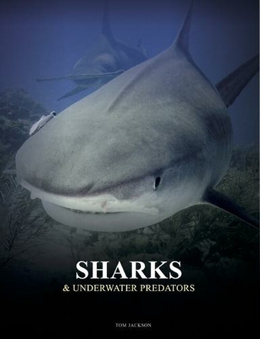 Sharks and Underwater Predators: (Animals)