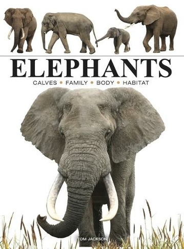Elephants: (Mini Animals)