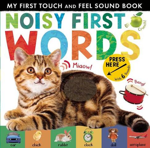 Noisy First Words: My First Touch and Feel Sound Book