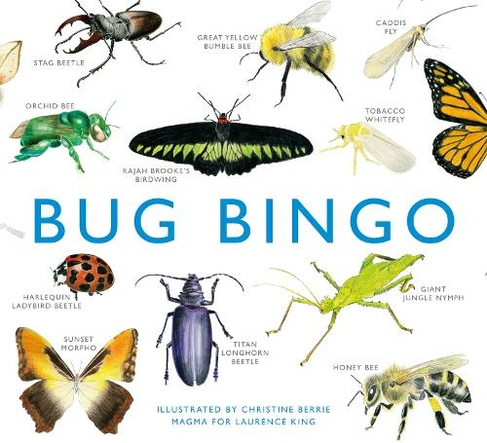 Bug Bingo: (Magma for Laurence King)