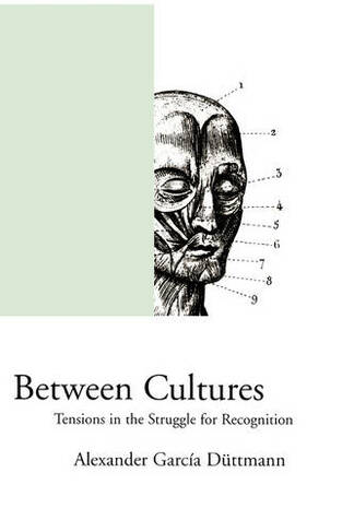 Between Cultures: Tensions in the Struggle for Recognition (Phronesis S.)