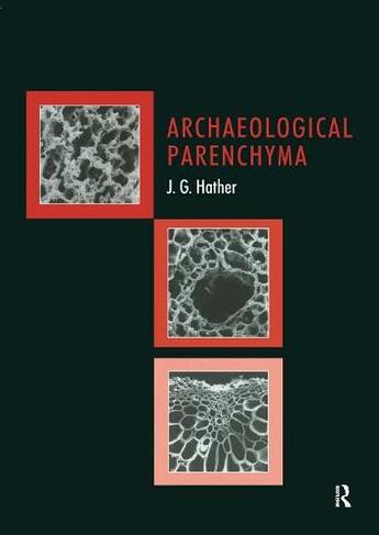 Archaeological Parenchyma: (UCL Institute of Archaeology Publications)