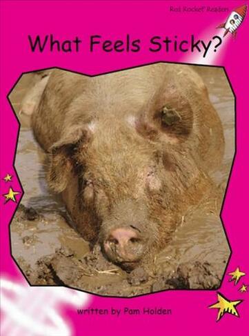 What Feels Sticky?: (Emergent Non-Fiction Set A Reading Level 2/F&P Level B)