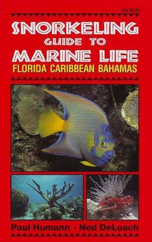 Snorkeling Guide to Marine Life: Florida, Caribbean, Bahamas