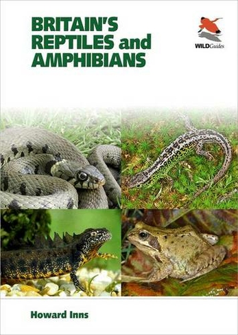 Britain`s Reptiles and Amphibians