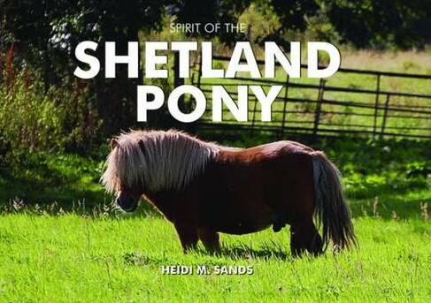 Spirit of the Shetland Pony