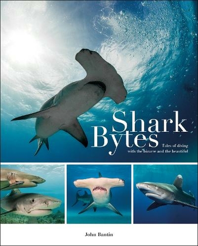 Shark Bytes: Tales of Diving with the Bizarre and the Beautiful