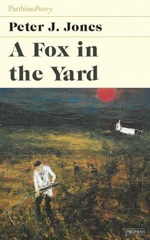 Fox in the Yard