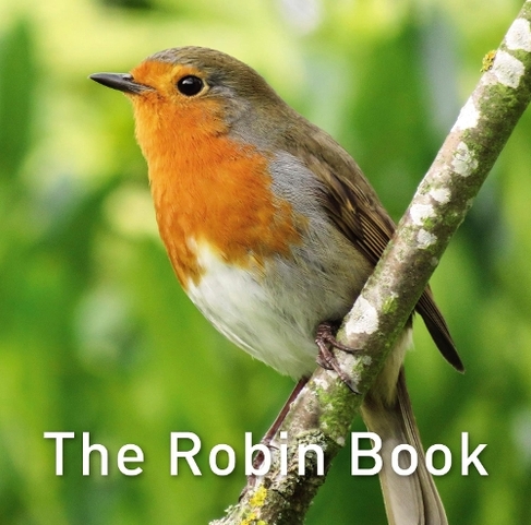 The Robin Book: (The Nature Book Series 6)
