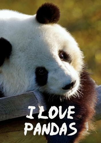 I Love Pandas Notebook