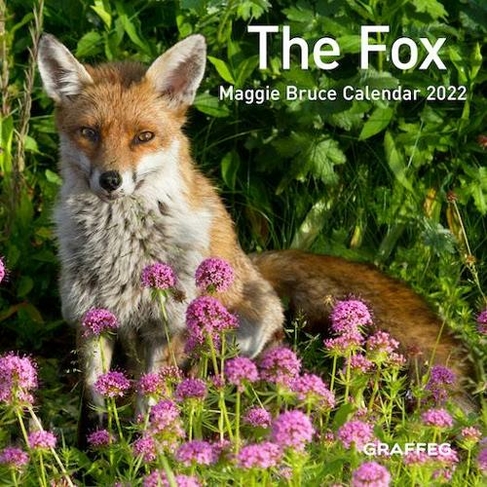 The Fox Calendar 2022