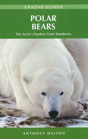 Polar Bears: The Arctic's Fearless Great Wanderers