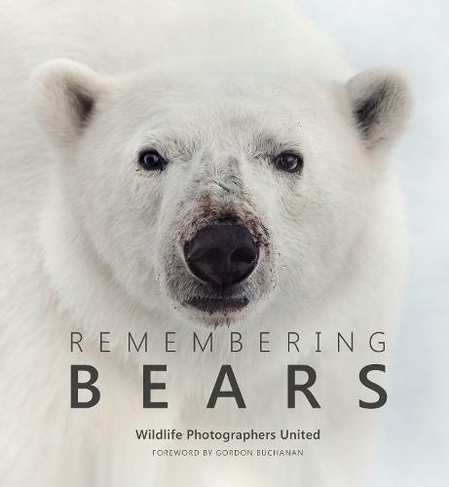 Remembering Bears: (Remembering Wildlife)