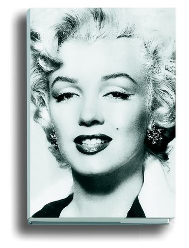 Silver Marilyn: Marilyn and the Camera (New edition)